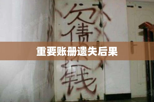 重要账册遗失后果