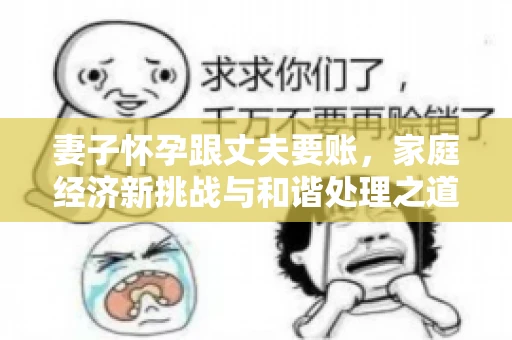 妻子怀孕跟丈夫要账，家庭经济新挑战与和谐处理之道