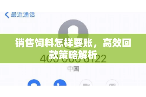 销售饲料怎样要账，高效回款策略解析