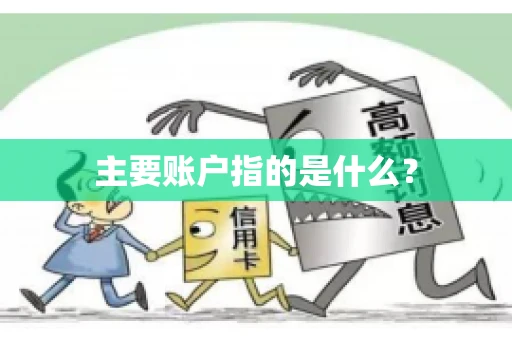 主要账户指的是什么？
